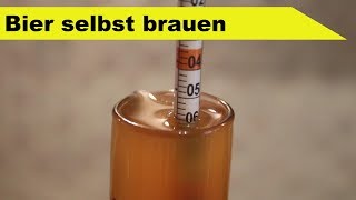 🍺 Bier selber brauen 🍻  daheim in der Küche  Fermentastisch [upl. by Jurdi848]