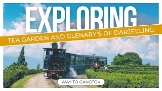 Way To Gangtok  Glenary Darjeeling  Gangtok MG Road Travel Vlog [upl. by Yelak]