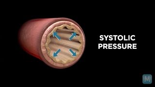 Systole vs Diastole  Match Health [upl. by Joellyn]