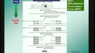 Techniques of Genetic Analysis Molecular Biology [upl. by Nyladnohr]