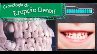 Cronologia de Erupção dos Dentes DecíduosLeite e Permanentes [upl. by Suelo]