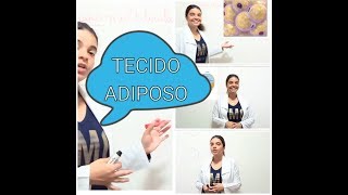 Tecido adiposo pardo multilocular e unilocular [upl. by Thgiled894]