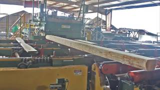 TS Combination Edger at Millville Lumber [upl. by Radman]