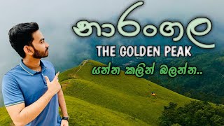 Dont forget to watch this video before go to Narangala නාරංගල යන්න කලින් බලන්නsubtitles [upl. by Auhsohey]