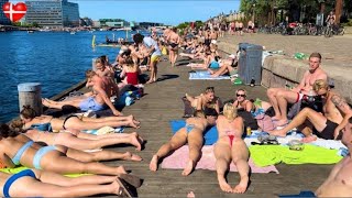 Heat Wave Islands Brygge Harbour Bath Beach  Copenhagen Denmark I Bikini Beach 2024 4k Walk [upl. by Nallac]