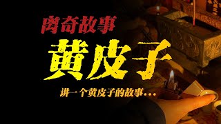 【離奇故事】黃皮子：講一個黃皮子的故事【殺豬刀詭實錄】聽書有聲書恐怖故事睡前故事 [upl. by Saied137]