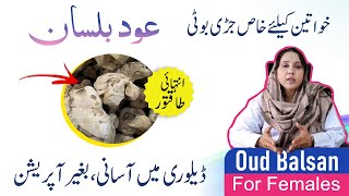 Oud balsan عود بلسان  Benefits of Roghan Balsan  Normal Delivery ke liye kya karna chahiye [upl. by Riancho]