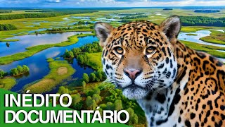 Pantanal Extremo Predadores e Presas  DOCUMENTÁRIO INÉDITO [upl. by Ttekcirc]