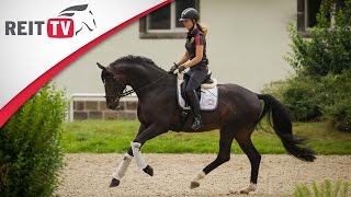 Stories  Reiten als Beruf  AnnKristin als Dressurreiterin bei der Bundeswehr [upl. by Anitra]