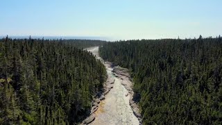 Quebecs Anticosti Island named UNESCO heritage site [upl. by Dawn729]