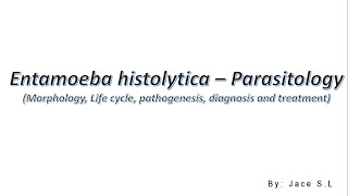 Entamoeba histolytica  Parasitology [upl. by Llert897]