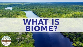 WHAT IS A BIOME  Enviromental Science  CATEGORIES OF BIOMES [upl. by Kciredor]