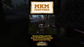 World of Warcraft PvP Honor Level 197 Pop LvL39 [upl. by Erinna]