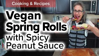 Vegan Spring Rolls 🍱 with Spicy Peanut Sauce [upl. by Sarette]