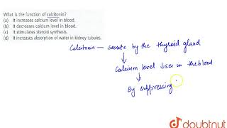 What is the function of calcitonin [upl. by Jenine]