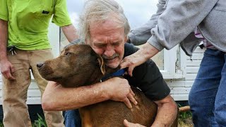 Dogs Reunited With Owners Compilation [upl. by Murray767]