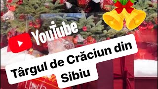 Excursie la Targul de Crăciun din Sibiu 🎅🏼 [upl. by Aerdnad]