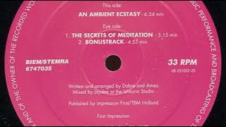 Trancesetters  The Secrets Of Meditation 1992 [upl. by Silohcin]