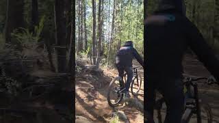 Diversión en Acequias con grandes Deacheros mtb dh Acequias mtbskills [upl. by Idnor]