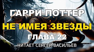 Не имея звезды  Глава 22 аудиокнига Васильев С [upl. by Arther]