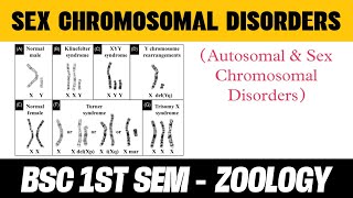 Autosomal and Sex Chromosomal Disorders Notes in Hindi  BSC 1 SEMESTER  ZOOLOGY [upl. by Wolsniw]