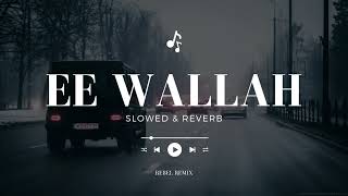 Ey Wallah Mehtajeda Slowed  Reverb  Rebel Remix [upl. by Wehtta]