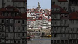 The Douro Valley Portugal shorts explore [upl. by Noivax]