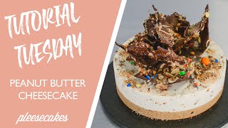 Peanut Butter amp MM Cheesecake Recipe  Pleesecakes Tutorial Tuesday [upl. by Olympie]