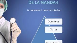 Tema 10 La Taxonomía II [upl. by Chrisoula875]