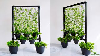 Wonderful Way to Display Money plants in your inside spaceGREEN PLANTS [upl. by Clarita]