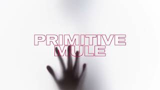 Primitive Mule  DOOMBO [upl. by Atikat753]