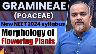 NEET 2024 UPDATED SYLLABUS  Plant Families  Gramineae  NEET Biology neet neet2024 neetprep [upl. by Melli23]