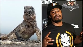 Marshawn Lynch HILARIOUS Narration Of Planet Earths Iguana VS Snakes [upl. by Duwalt901]