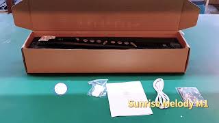 Unboxing Video of Sunrise Melody M1 [upl. by Noiwtna442]