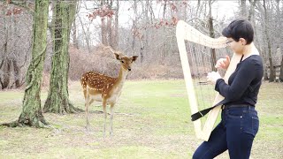 Girl Attracts Deer While Playing Harp in the Woods [upl. by Nolyk]