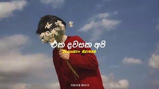 Eka Dawasaka Api  එක දවසක අපි   Slowed  Reverb  Official Music Video song remix viralvideo [upl. by Abbotsun]