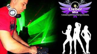 DJ Cleber MixMegafestamix 2011 [upl. by Saihtam454]