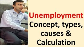 Definition of Unemployment  causes consequences and calculations of unemployment explained with exp [upl. by Wasson679]