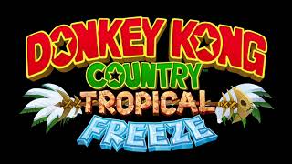 Grassland Groove 2 Section Donkey Kong Country Tropical Freeze OST [upl. by Eicam]