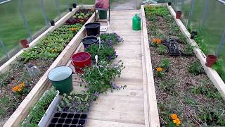 Siltnamio vlogas 2 Greenhouse vlog 2 Geles vazonuose Planting flower containers [upl. by Sidnala]