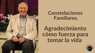 Constelaciones Familiares Agradecimiento cómo fuerza para tomar la vida 🐘💫🙌🏻 [upl. by Regnig]