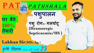 गलघोटू पशुरोग  heamoregic septicaemia  animal husbandry Pat classes  पशुपालन pat ki pathshala [upl. by Judenberg]