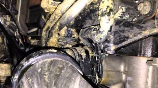 Ford 64 Powerstroke Coolant leak radiator hose replace [upl. by Anegal617]