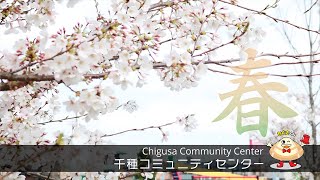 【春】  千種コミュニティセンター【Chigusa Community Center】 [upl. by Ardnoel]