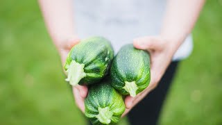 5 Recettes à base de courgettes Que faire avec des courgettes [upl. by Aynwat960]