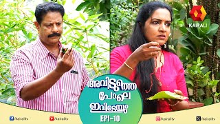 കൂടോത്രവും സത്യേട്ടനും അപ്പുറത്തെ ആലീസും Epi 10  Aviduthe Pole Ivideyum Malayalam Comedy Serial [upl. by Suoicerp148]