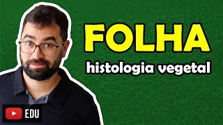 Histologia da Folha  Aula 11  Módulo V Botânica  Prof Guilherme [upl. by Duvall]