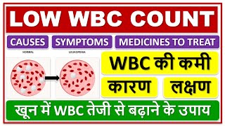 LOW WBC COUNT WBC की कमी कारण लक्षण खून में WBC तेजी से बढ़ाने के उपाय शरीर में WBC कम होना [upl. by Nalyak]