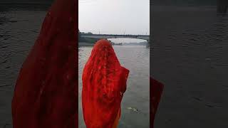 chhathpuja chhath puja महापर्व छठीमईया [upl. by Cristionna]