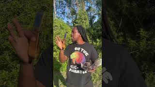 Floridians vs pythons omgitswicks florida onlyinflorida comedy [upl. by Aissirac]